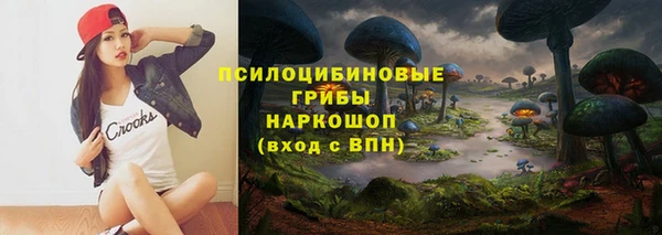 прущие грибы Алексин