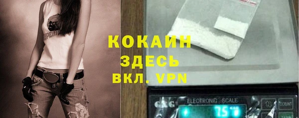 прущие грибы Алексин