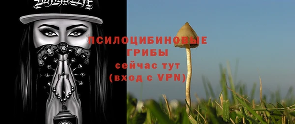а пвп мука Абаза