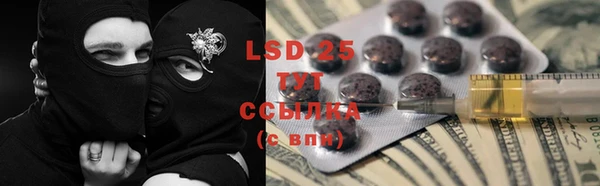 прущие грибы Алексин