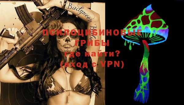 первитин Грязовец