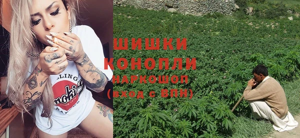 прущие грибы Алексин