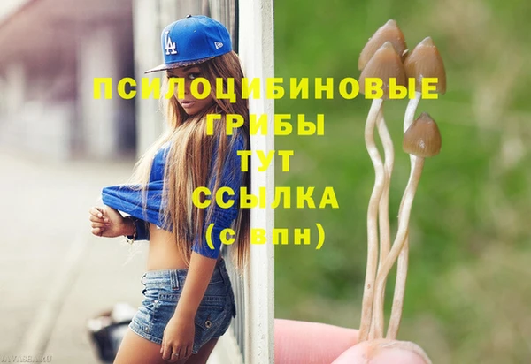 прущие грибы Алексин