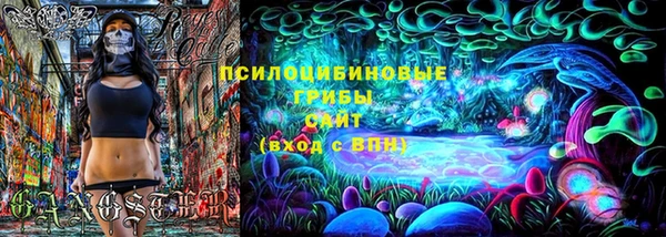 МДПВ Абинск